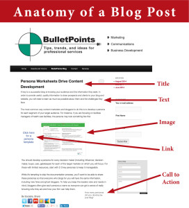 Anatomy of blog